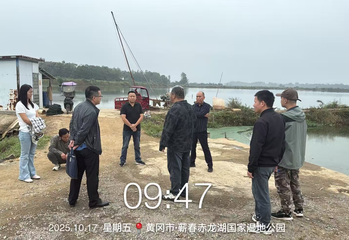 某渔场道路、堤坝、闸口等改造工程造价鉴定——现场勘验(2025-10-17)