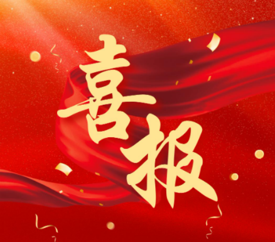 党建引领聚合力，实干担当创未来！